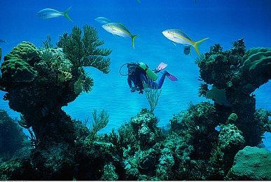 传闻：《孤岛惊魂6》新DLC“迷失在世界之间”即将发布